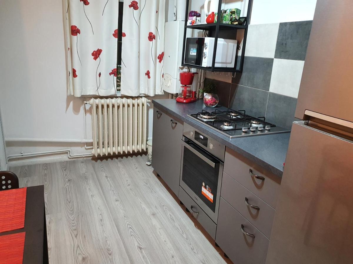 Mia Central Apart, 3 Rooms, 2 Baths, Afi Mall Brašov Exteriér fotografie